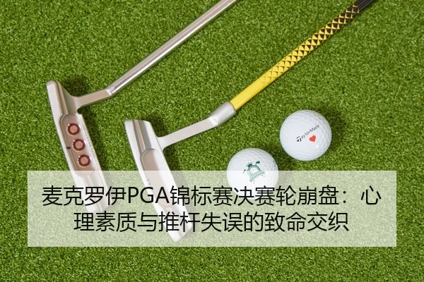 mai-ke-luo-yi-jin-biao-sai-jue-sai-lun-beng-pan-xin-li-su-zhi-yu-tui-gan-shi-wu-de-zhi-ming-jiao-zhi-2-115.jpg