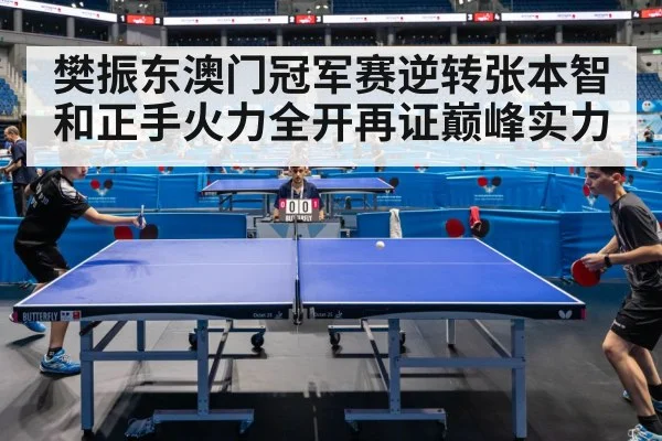 樊振东澳门冠军赛逆转张本智和正手火力全开再证巅峰实力