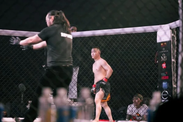 UFC octagon fight night
